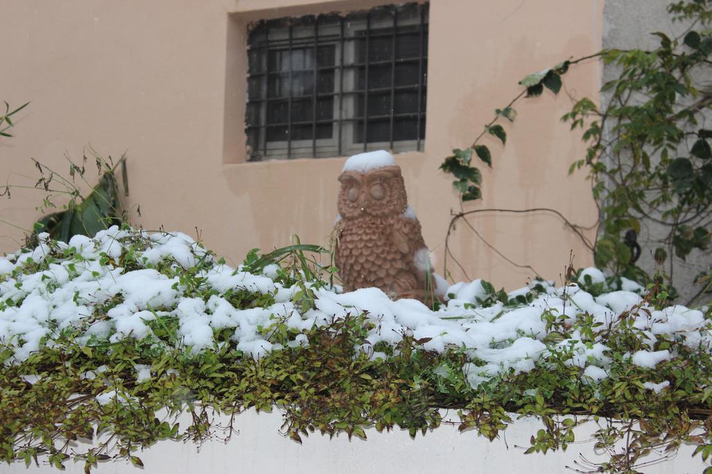 B&B Villa Raineri Giardini Naxos Εξωτερικό φωτογραφία