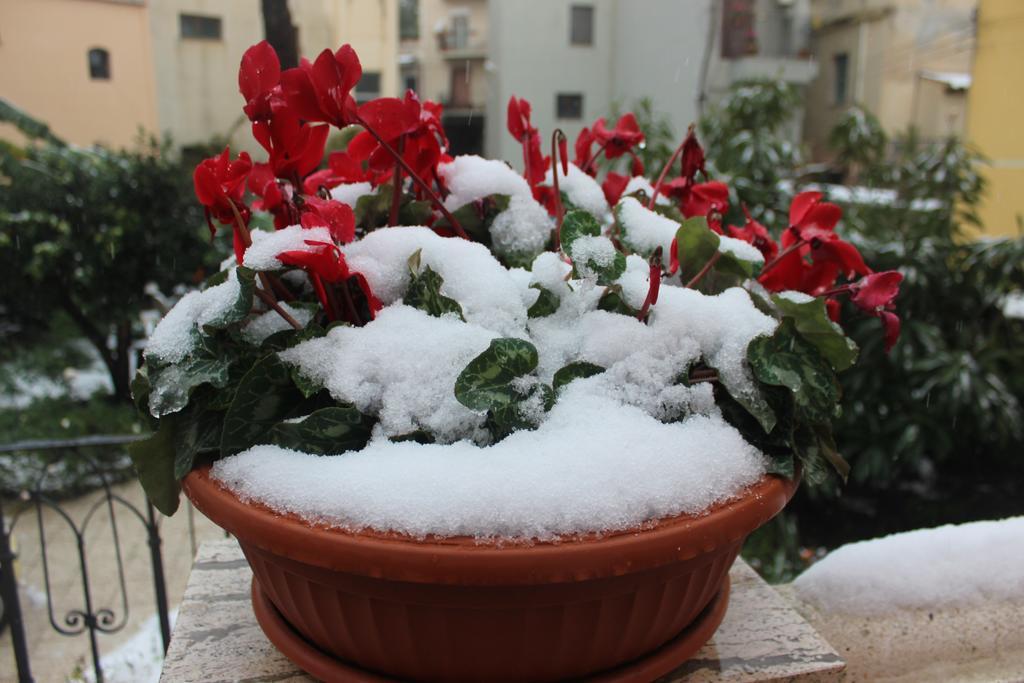 B&B Villa Raineri Giardini Naxos Εξωτερικό φωτογραφία